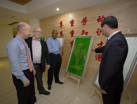强强联手，构建多元化产学研合作，推动科技产业双丰收